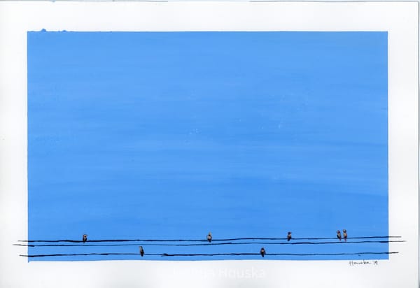 Birds